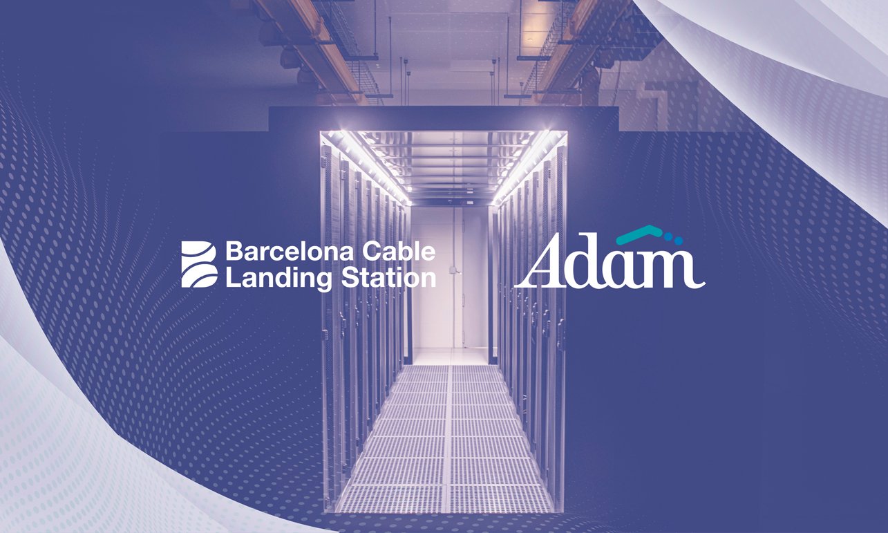 Adam and BCNCLS